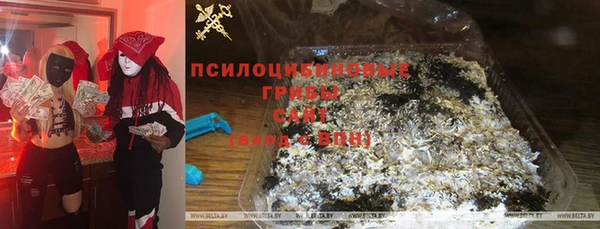 меф Медвежьегорск