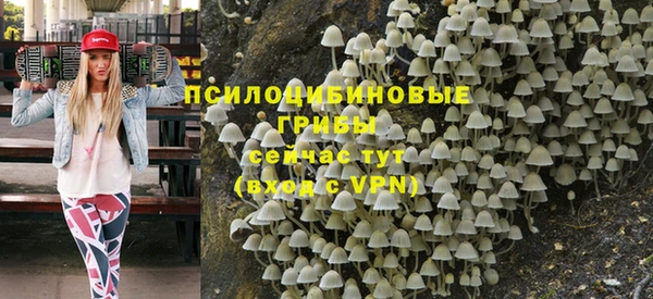 сатива Мегион